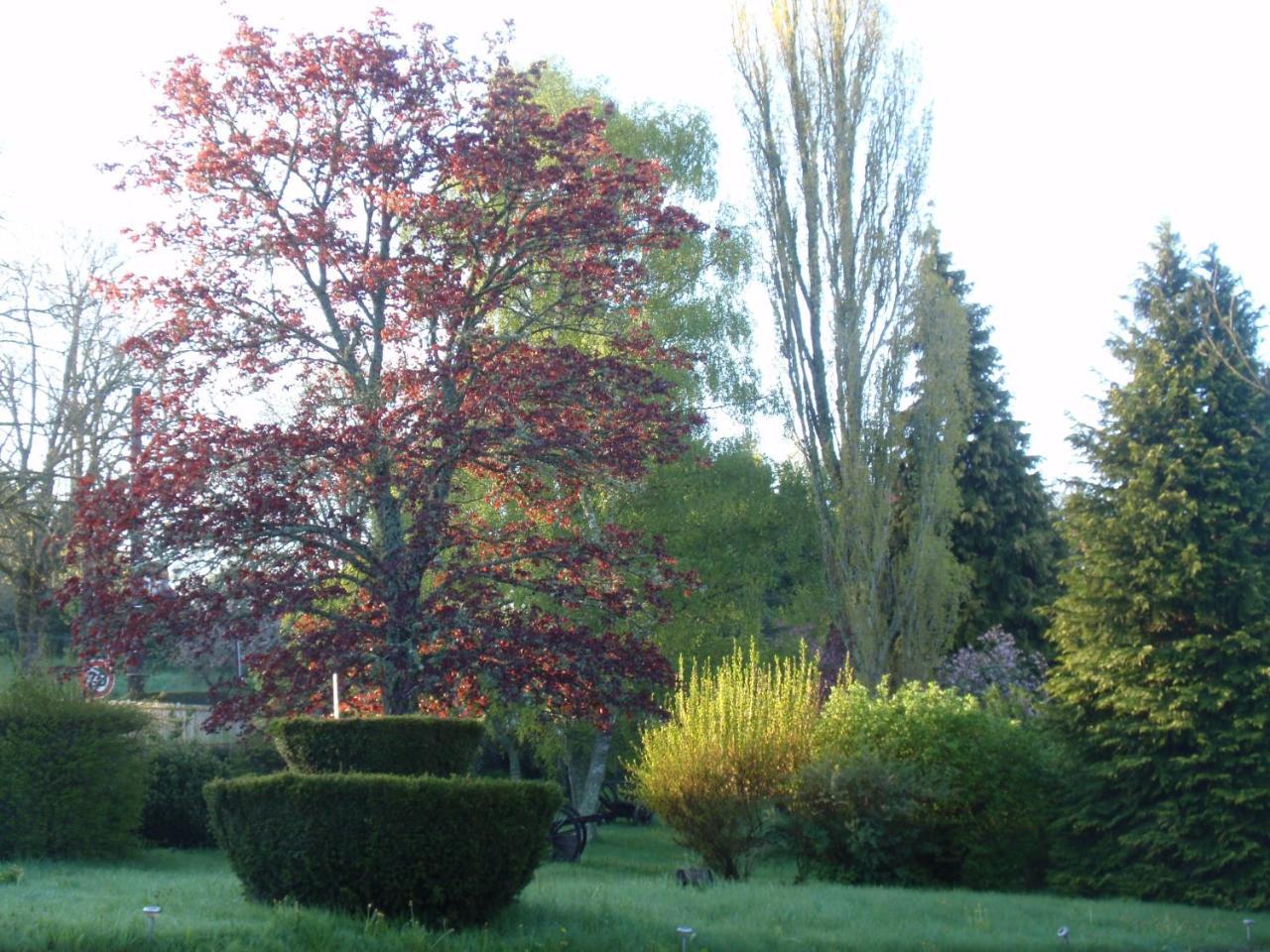 Domaine des Pêcheries Montel-de-Gelat Extérieur photo