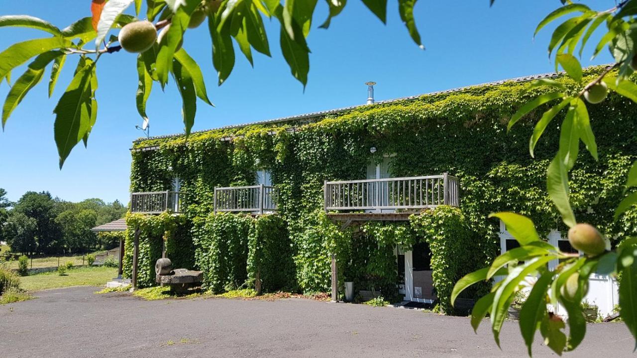Domaine des Pêcheries Montel-de-Gelat Extérieur photo